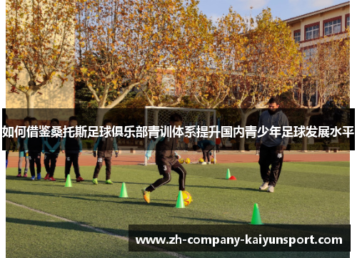 如何借鉴桑托斯足球俱乐部青训体系提升国内青少年足球发展水平 如何借鉴桑托斯足球俱乐部青训体系提升国内青少年足球发展水平