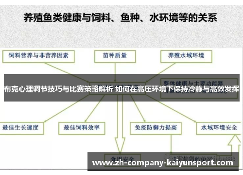 布克心理调节技巧与比赛策略解析 如何在高压环境下保持冷静与高效发挥 布克心理调节技巧与比赛策略解析 如何在高压环境下保持冷静与高效发挥