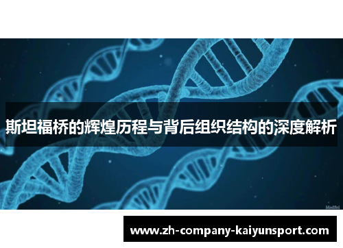 斯坦福桥的辉煌历程与背后组织结构的深度解析