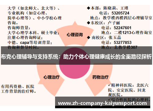 布克心理辅导与支持系统:助力个体心理健康成长的全面路径探析 布克心理辅导与支持系统:助力个体心理健康成长的全面路径探析