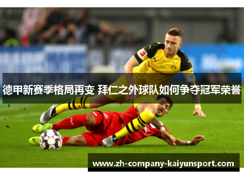 德甲新赛季格局再变 拜仁之外球队如何争夺冠军荣誉