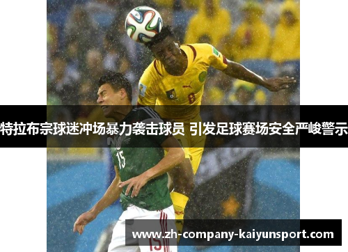 特拉布宗球迷冲场暴力袭击球员 引发足球赛场安全严峻警示