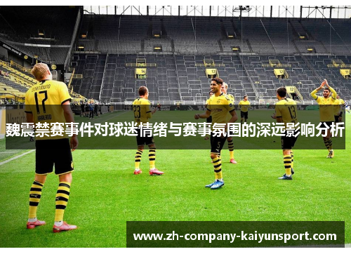 魏震禁赛事件对球迷情绪与赛事氛围的深远影响分析